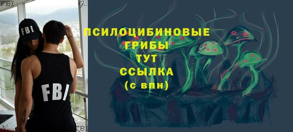 прущие грибы Верея