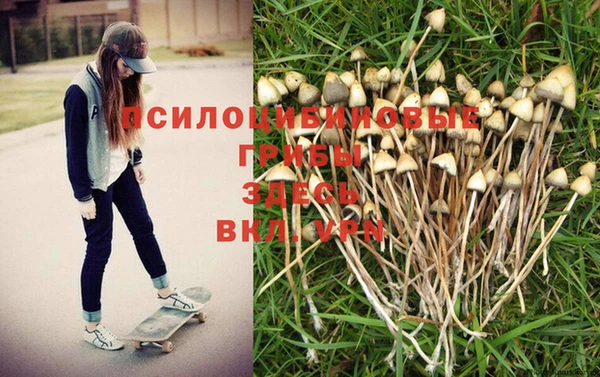 не бодяженный Балахна