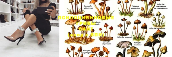 герыч Баксан