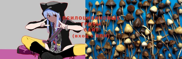герыч Баксан