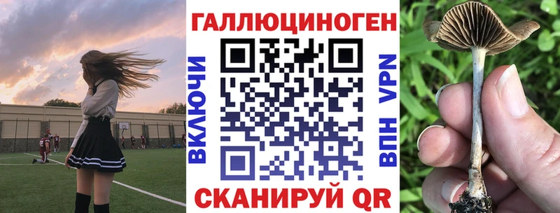 Галлюциногенные грибы Magic Shrooms  MEGA ссылка  Городовиковск  купить наркотики сайты 